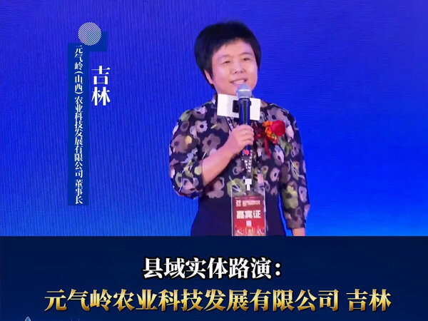 第四届营销赋能大会 | 山西元气岭吉总县域路演 